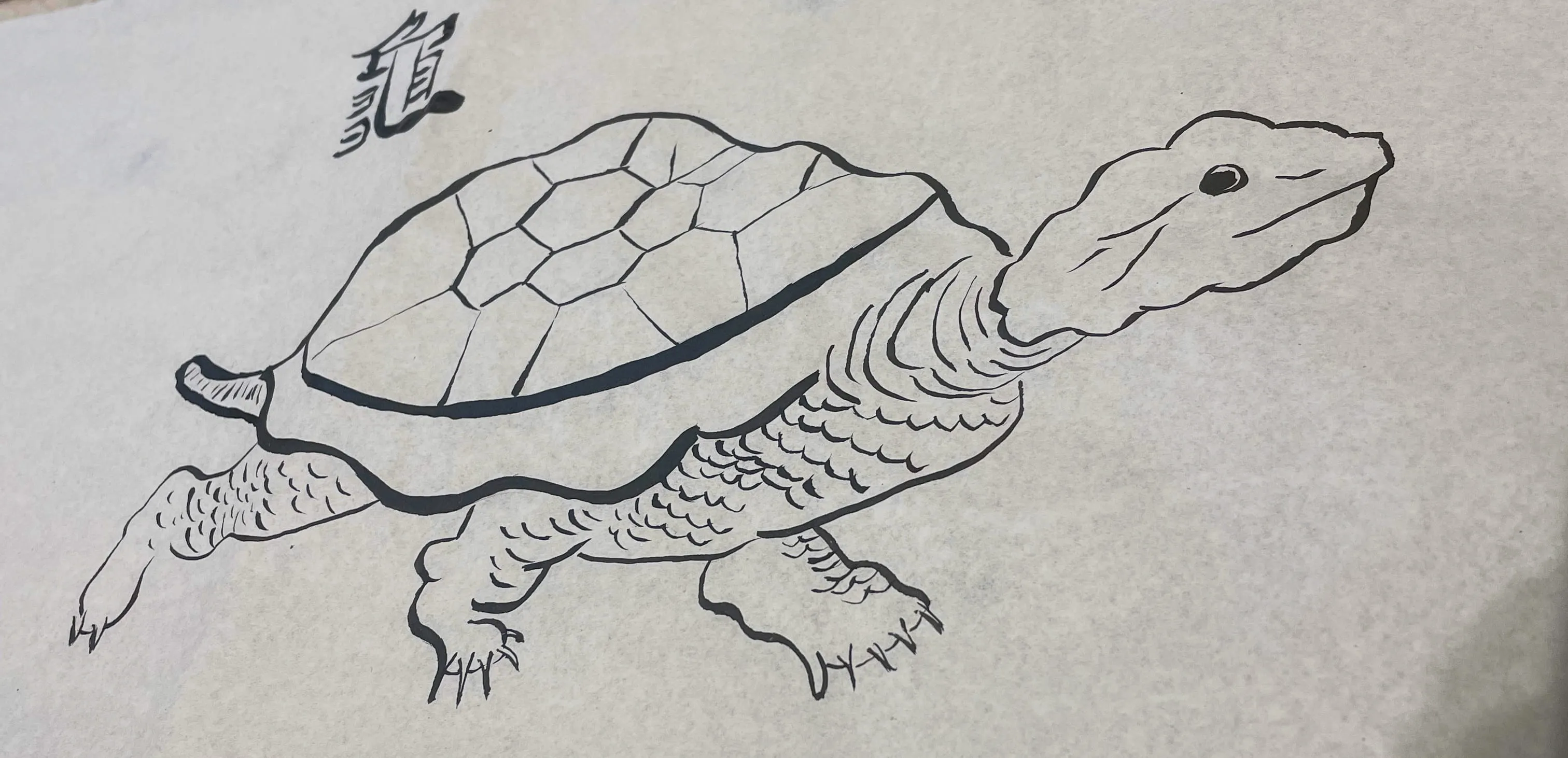 Chinese ink turtle painting