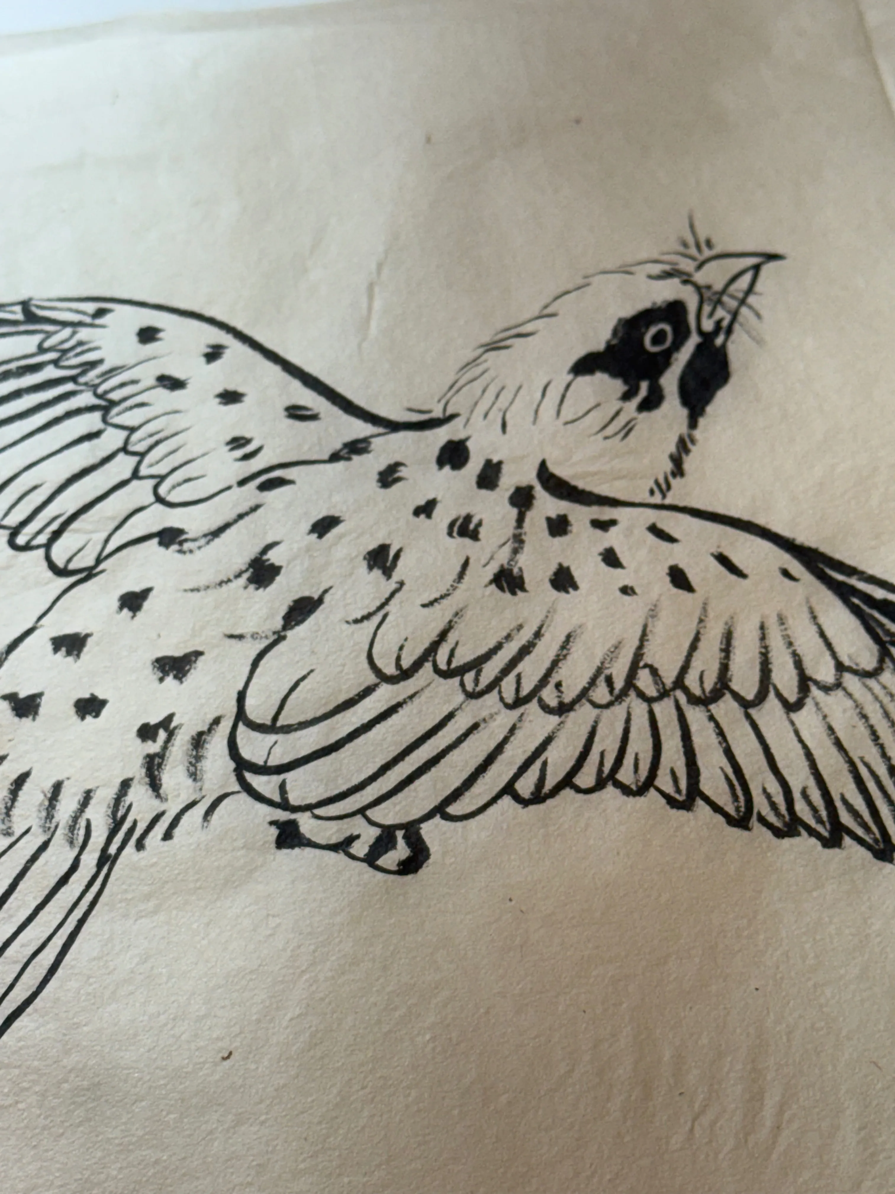 Chinese ink bird painting