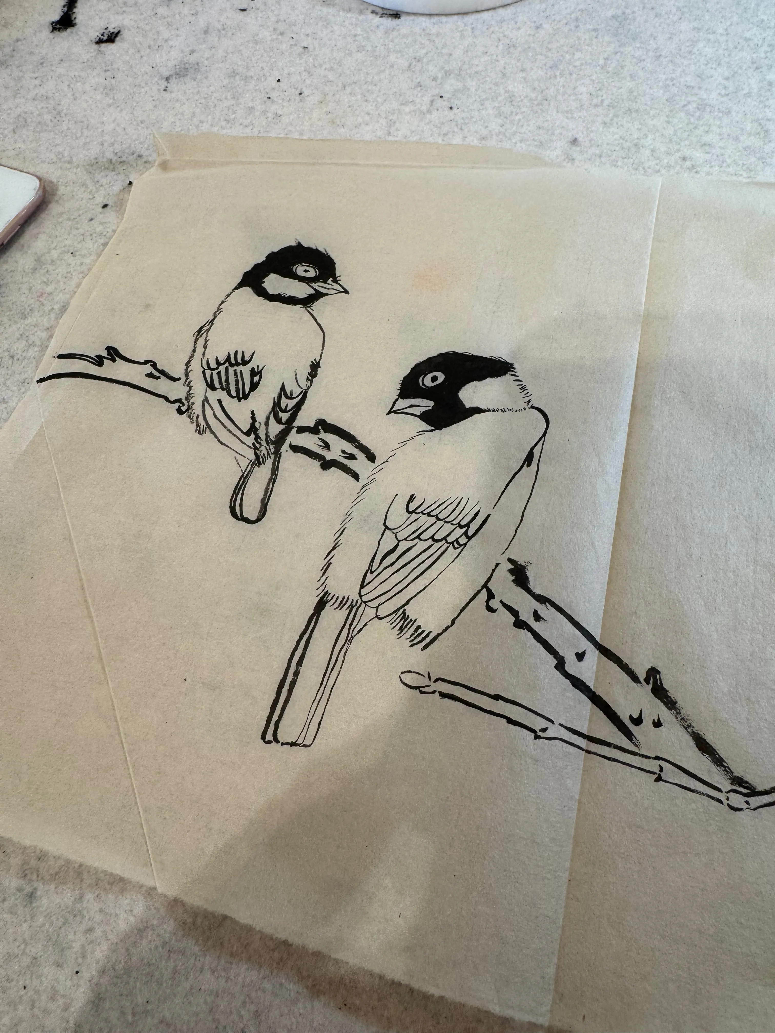 Chinese ink birds on branch